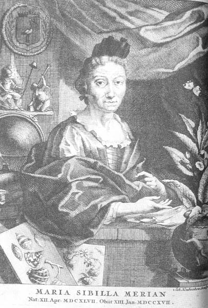 Engraving of a Anna Maria Sibylla Merian (1647-1717) portrait by her son-in-law Georg Gsell (from Chrysalis)
