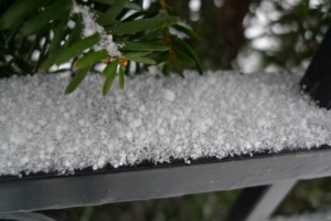REAL snow flakes