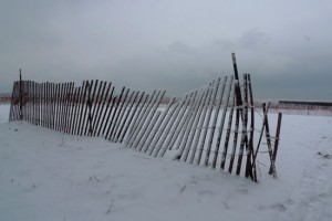 dunefence1