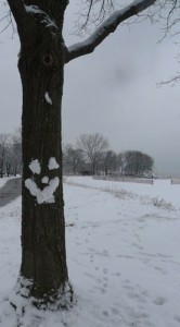 smiley tree