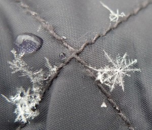 snow crystals