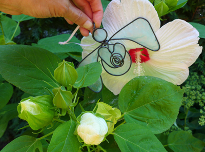 whiteflowerangel