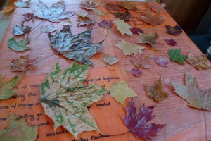 Watching Leaves Turn: maple leaf encaustic collage by Maike's Marvels, wall decor
